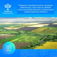 Правила приобретения и продажи земельных участков из земель сельскохозяйственного назначения в Ярославской области